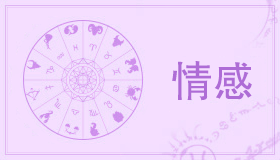 金牛女处女男